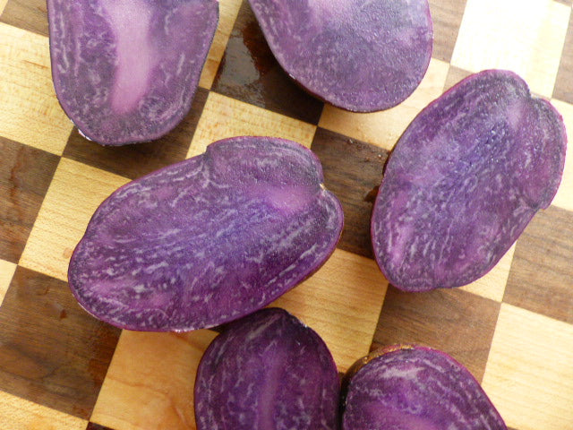 Adirondack Blue Seed Potatoes | Organically Grown | Sprouted Chitted Ready to Grow Now