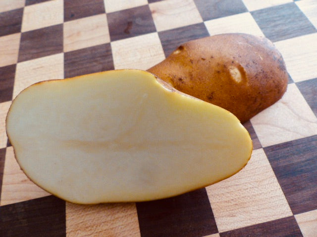 Burbank Russet Seed Potatoes | Organically Grown | Easy to Grow