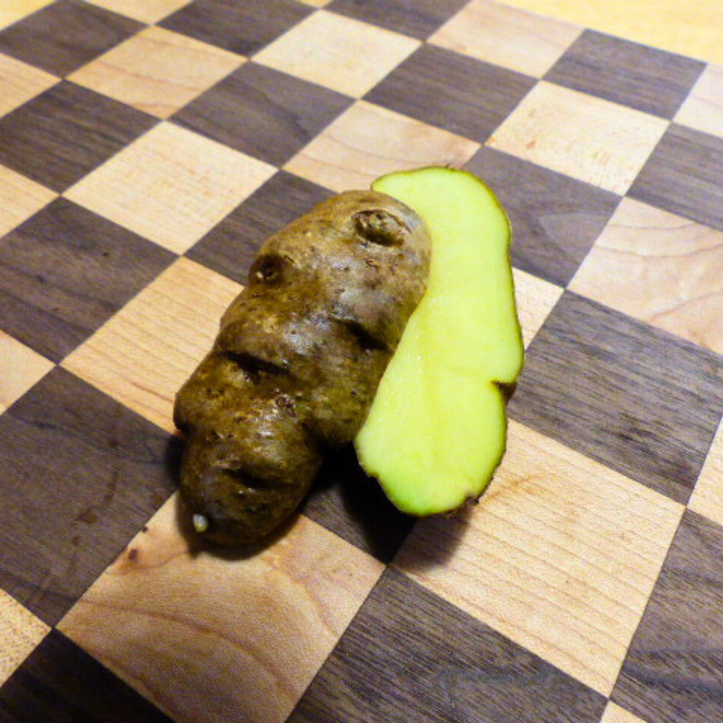 Ozette-Makah Potatoes | Organically Grown | Sprouted Chitted Ready to Grow Now!