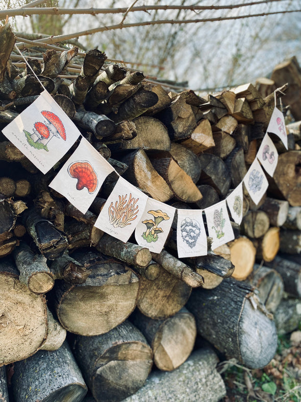 Wanderite Mushroom Prayer Flag