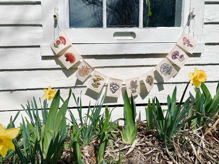 Wanderite Mushroom Prayer Flag