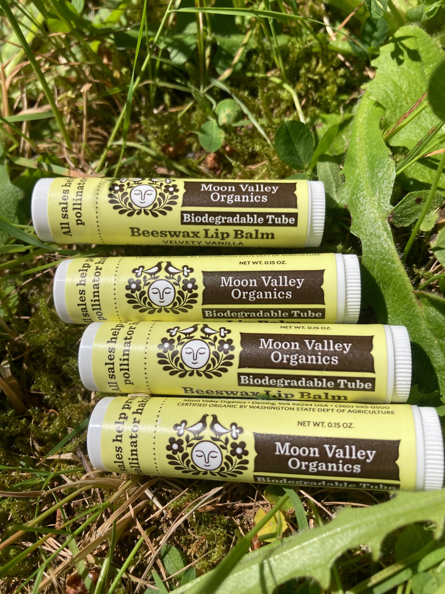 Moon Valley Organics Lip Balm Vanilla