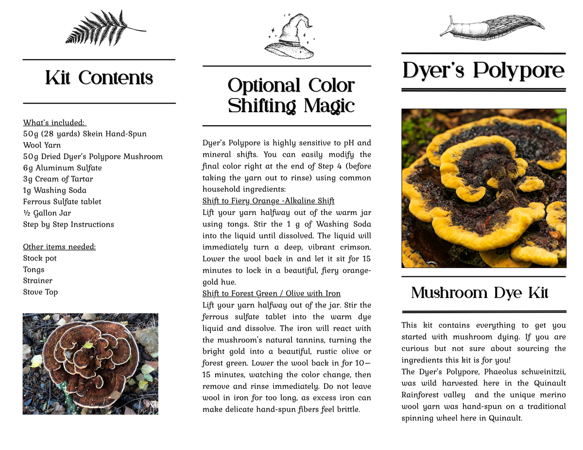 Mushroom Dye Kit for Wool