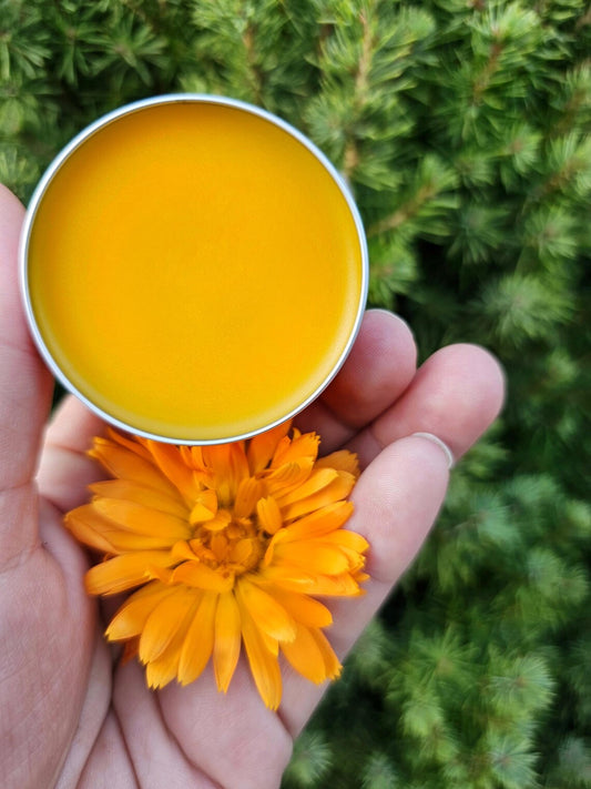 Herbal Calendula Salve